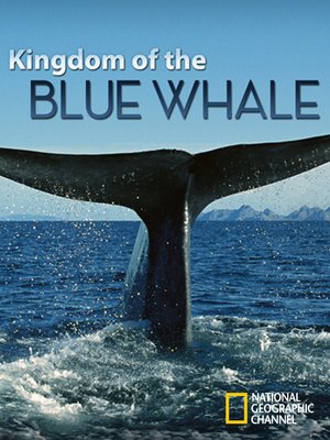 cover image of Kingdom of the Blue Whale